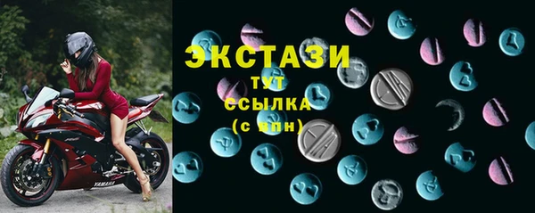 гидра Инсар