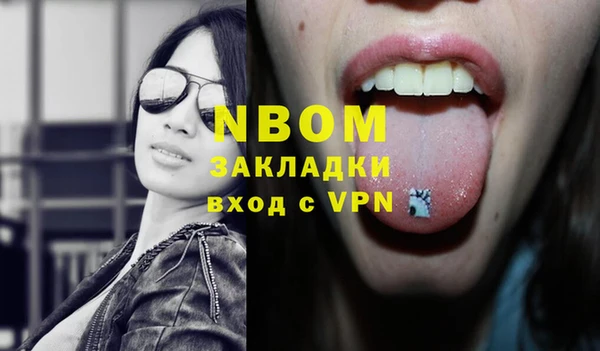 гидра Инсар