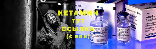 гидра Инсар