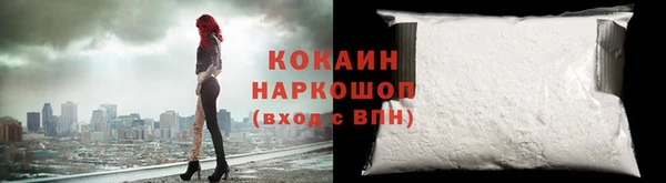 гидра Инсар