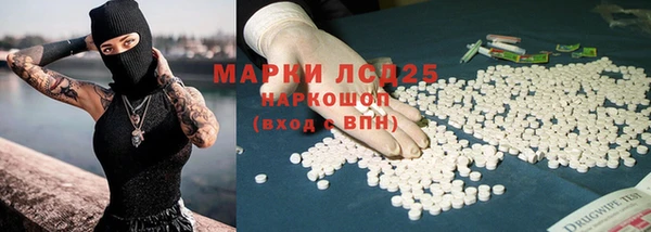 гидра Инсар