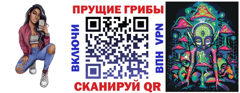 Купить закладки  Белореченск  Псилоцибиновые грибы Psilocybe 